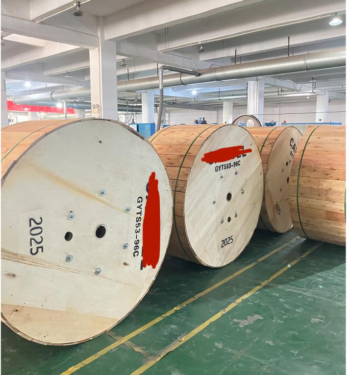 공장 재고 야외 이중 장갑 GYTS53-96 코어 광섬유 케이블 이중 자켓 G652D 당일 배송 10