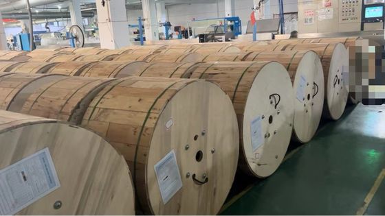 12 24 코어 싱글 갑옷 더블 자켓 불 retardant MGTSV 광업 광섬유 케이블