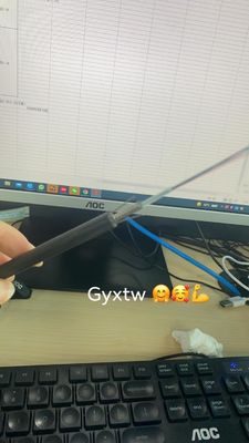 맞춤형 GYXTW 장갑 2 4 6 8 12 24 코어 싱글 모드 광섬유 케이블 6mm 7mm 8mm 메신저