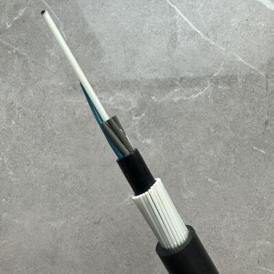 GYFTY83 반 설치류 장갑 FRP 강도 멤버 12 24 48Core 광섬유 케이블