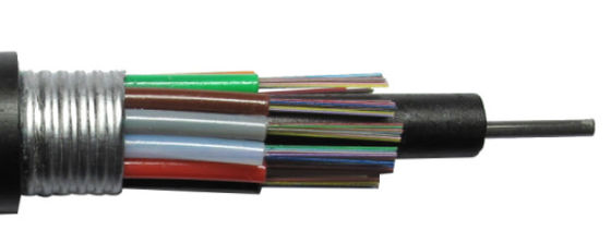 G652D 반대 설치 동물 야외 도관 무장한 광케이블 꼼짝 못하게 된 느슨한 튜브