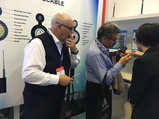 비 금속 설치류 GYFTY6363 광섬유 지하 케이블