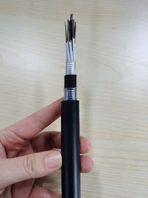 196 핵심 단일모드 G652d는 지하 광섬유 케이블 두배 덮개에 묻었습니다