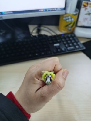 한 개의 방식  24 핵심 ADSS 통신 케이블, 모두 유전성 광섬유 케이블